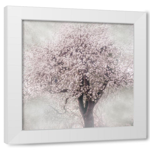 Blossoms of Spring III White Modern Wood Framed Art Print by Weisz, Irene