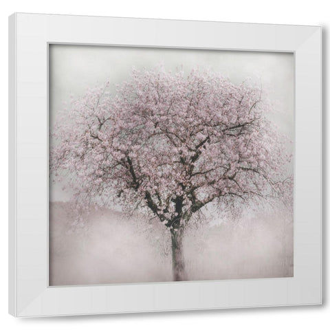 Blossoms of Spring IV White Modern Wood Framed Art Print by Weisz, Irene