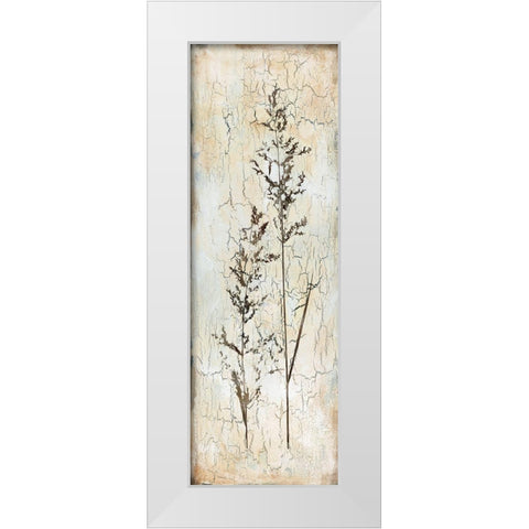 Delicate Nature I White Modern Wood Framed Art Print by Robinson, Carol