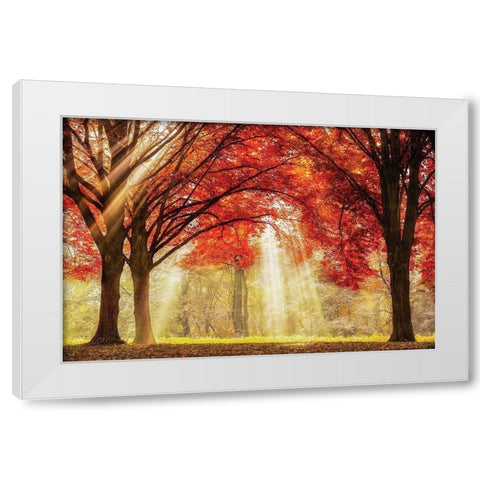 Everland White Modern Wood Framed Art Print by Van de Goor, Lars
