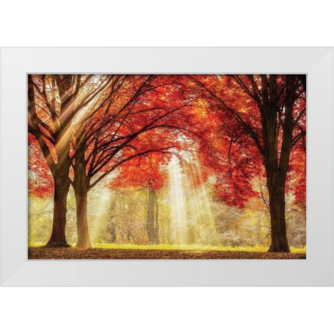 Everland White Modern Wood Framed Art Print by Van de Goor, Lars