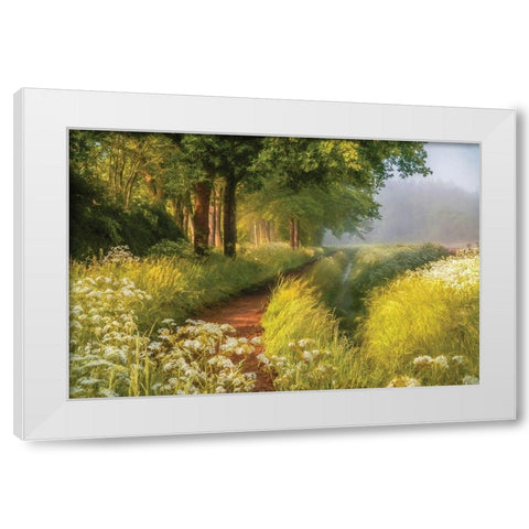 Spring in Holland White Modern Wood Framed Art Print by Van de Goor, Lars