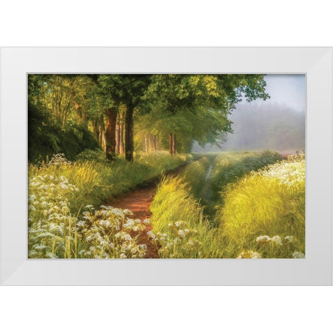 Spring in Holland White Modern Wood Framed Art Print by Van de Goor, Lars