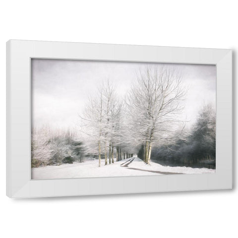 Winter is Here White Modern Wood Framed Art Print by Van de Goor, Lars