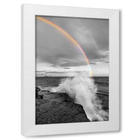Clarks Point White Modern Wood Framed Art Print by Delimont, Danita