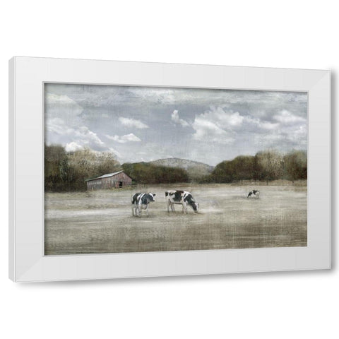 Country Satisfaction White Modern Wood Framed Art Print by Nan