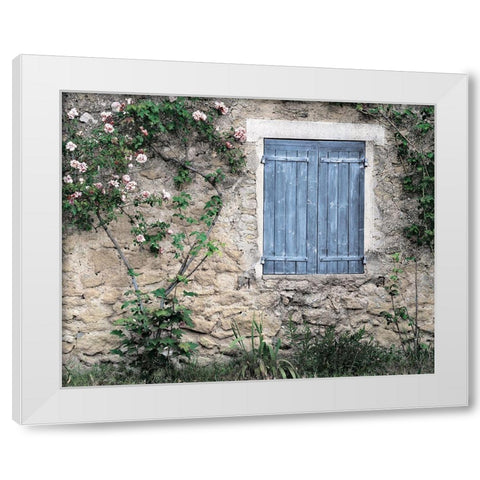 Roses In White Modern Wood Framed Art Print by Delimont, Danita