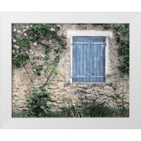 Roses In White Modern Wood Framed Art Print by Delimont, Danita