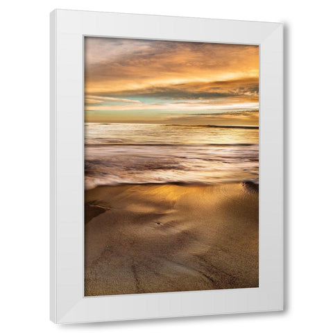 Windansea White Modern Wood Framed Art Print by Delimont, Danita