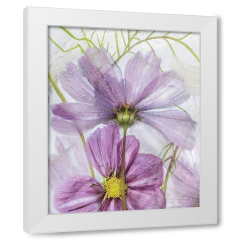 Frozen In Time I White Modern Wood Framed Art Print by Disher, Mandy