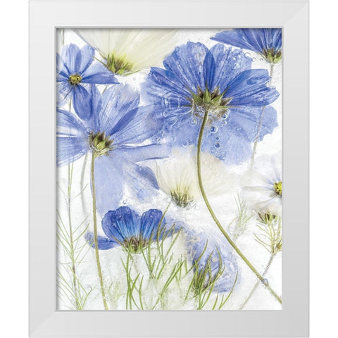 Frozen In Time II White Modern Wood Framed Art Print by Disher, Mandy