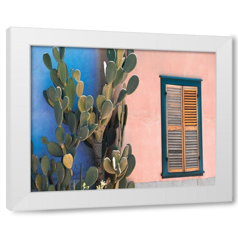 Cactus Profile White Modern Wood Framed Art Print by Delimont, Danita