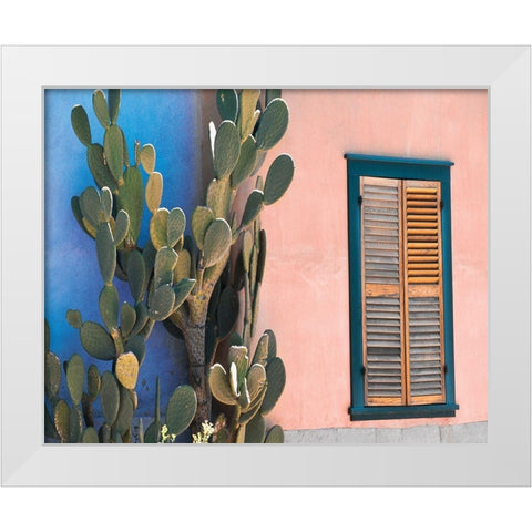 Cactus Profile White Modern Wood Framed Art Print by Delimont, Danita