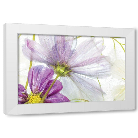 Frozen Floral I White Modern Wood Framed Art Print by Disher, Mandy