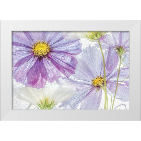 Frozen Floral II White Modern Wood Framed Art Print by Disher, Mandy