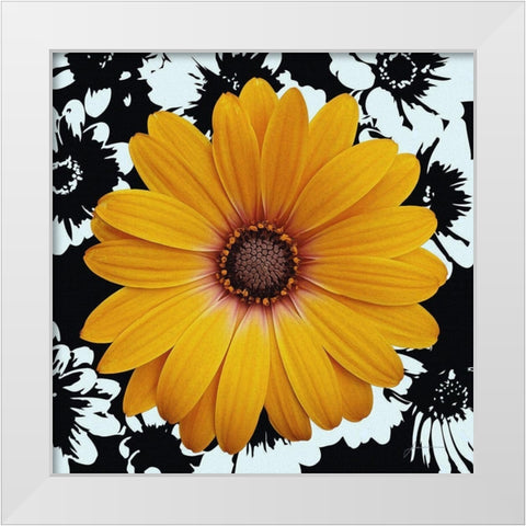 Black and Bloom White Modern Wood Framed Art Print by Burghardt, James