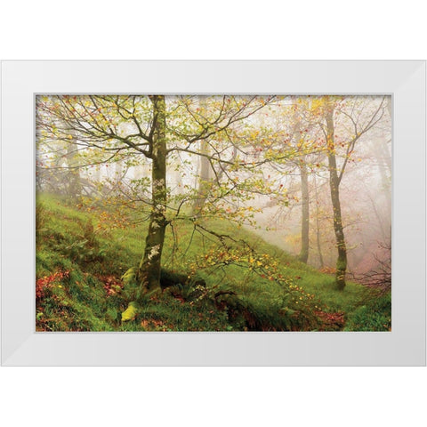 Spring Or White Modern Wood Framed Art Print by Van de Goor, Lars