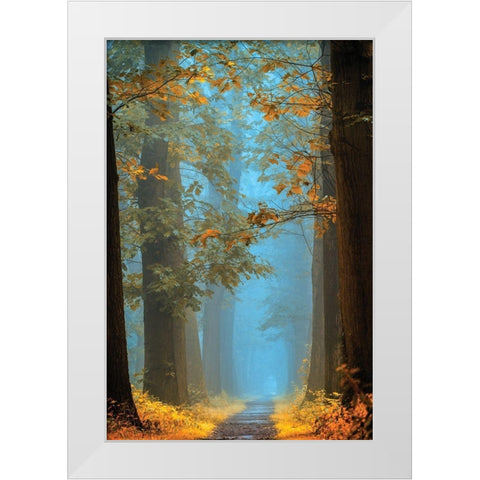 Orange Blue White Modern Wood Framed Art Print by Van de Goor, Lars