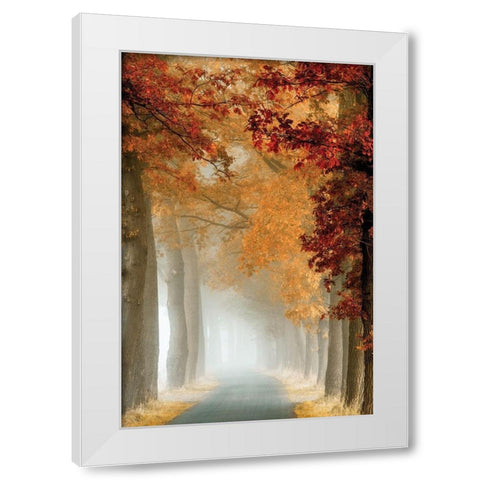 Wonder Curve White Modern Wood Framed Art Print by Van de Goor, Lars