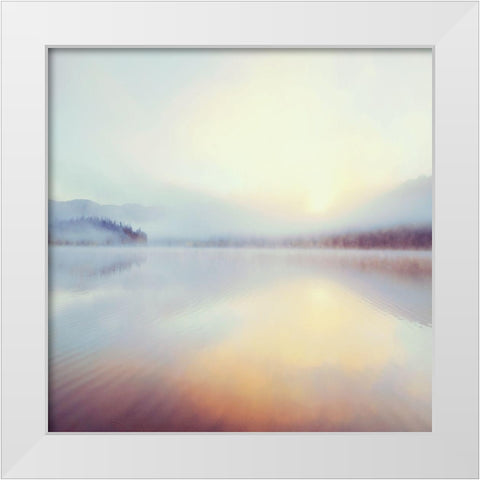 Sunrise Over Beaver White Modern Wood Framed Art Print by Delimont, Danita