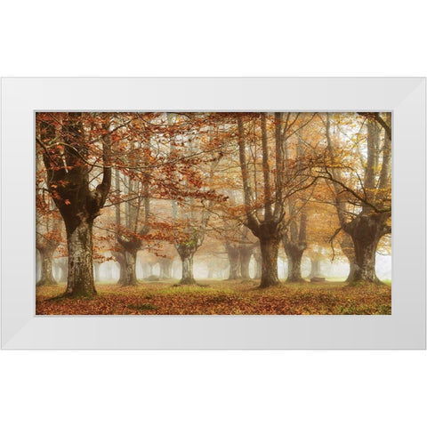 Misty Pan White Modern Wood Framed Art Print by Van de Goor, Lars