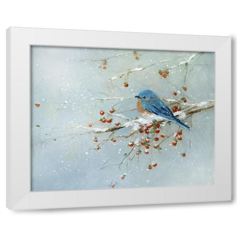 Blue Bird in Winter White Modern Wood Framed Art Print by Swatland, Sally