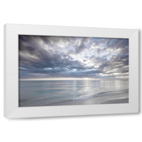 Naples Light White Modern Wood Framed Art Print by Delimont, Danita