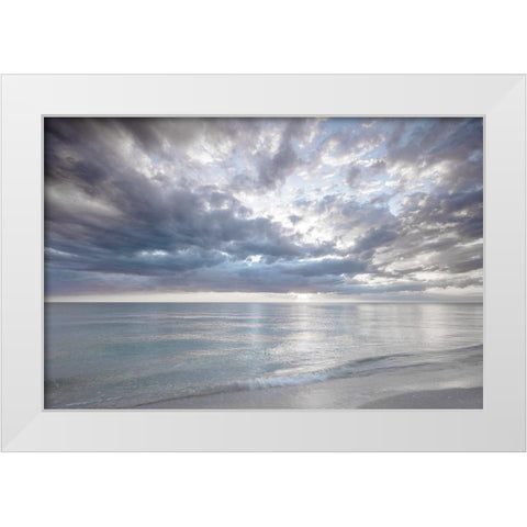 Naples Light White Modern Wood Framed Art Print by Delimont, Danita