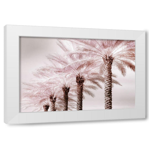 Stately Palms White Modern Wood Framed Art Print by Delimont, Danita