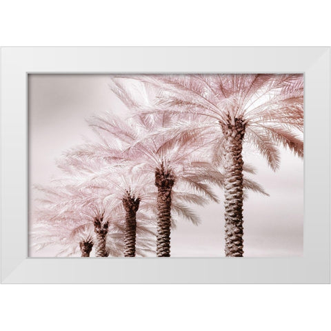Stately Palms White Modern Wood Framed Art Print by Delimont, Danita