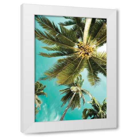 Palms Up White Modern Wood Framed Art Print by Delimont, Danita