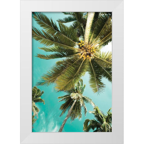 Palms Up White Modern Wood Framed Art Print by Delimont, Danita