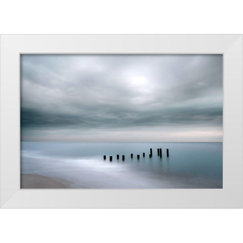 Cape May White Modern Wood Framed Art Print by Delimont, Danita