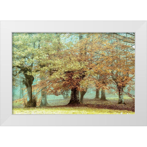 Teal Tree White Modern Wood Framed Art Print by Van de Goor, Lars