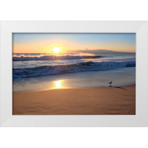 Sunset White Modern Wood Framed Art Print by Carpentieri, Natalie