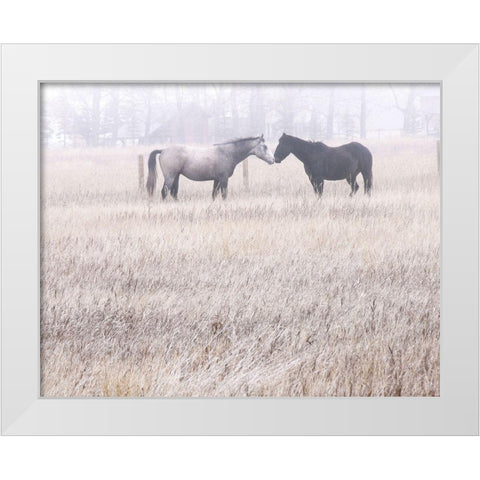 Morning White Modern Wood Framed Art Print by Robinson, Carol