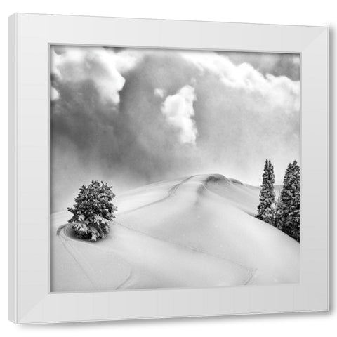 Fresh Powder White Modern Wood Framed Art Print by Delimont, Danita