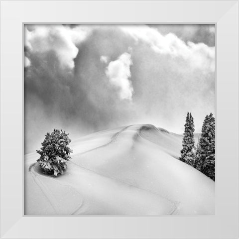 Fresh Powder White Modern Wood Framed Art Print by Delimont, Danita