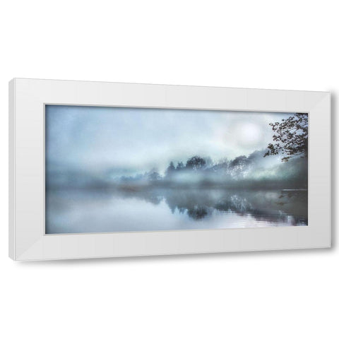 Morning Wonders White Modern Wood Framed Art Print by Weisz, Irene