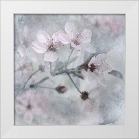 Spring White Modern Wood Framed Art Print by Weisz, Irene