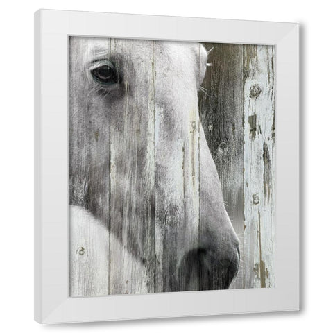 Contemplation White Modern Wood Framed Art Print by Robinson, Carol