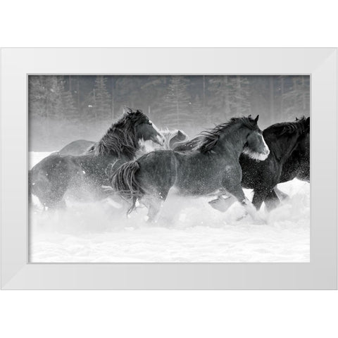 Winter Roundup I White Modern Wood Framed Art Print by Delimont, Danita