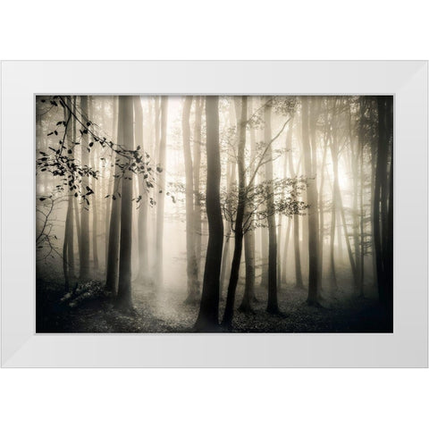 Light is Always White Modern Wood Framed Art Print by Weisz, Irene