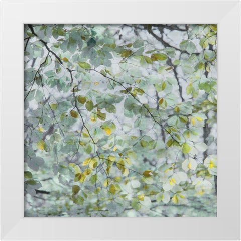 Dancing Leaves White Modern Wood Framed Art Print by Weisz, Irene