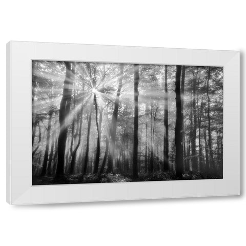Breaking Through White Modern Wood Framed Art Print by Weisz, Irene