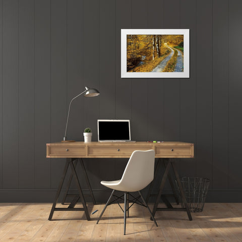 Winding Road White Modern Wood Framed Art Print by Van de Goor, Lars