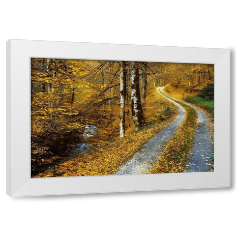 Winding Road White Modern Wood Framed Art Print by Van de Goor, Lars