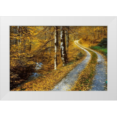 Winding Road White Modern Wood Framed Art Print by Van de Goor, Lars