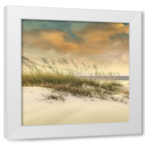 West Breeze White Modern Wood Framed Art Print by Calascibetta, Mike