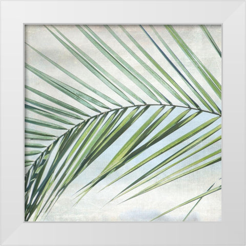 Palm View I White Modern Wood Framed Art Print by Weisz, Irene